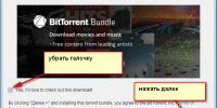  BitTorrent